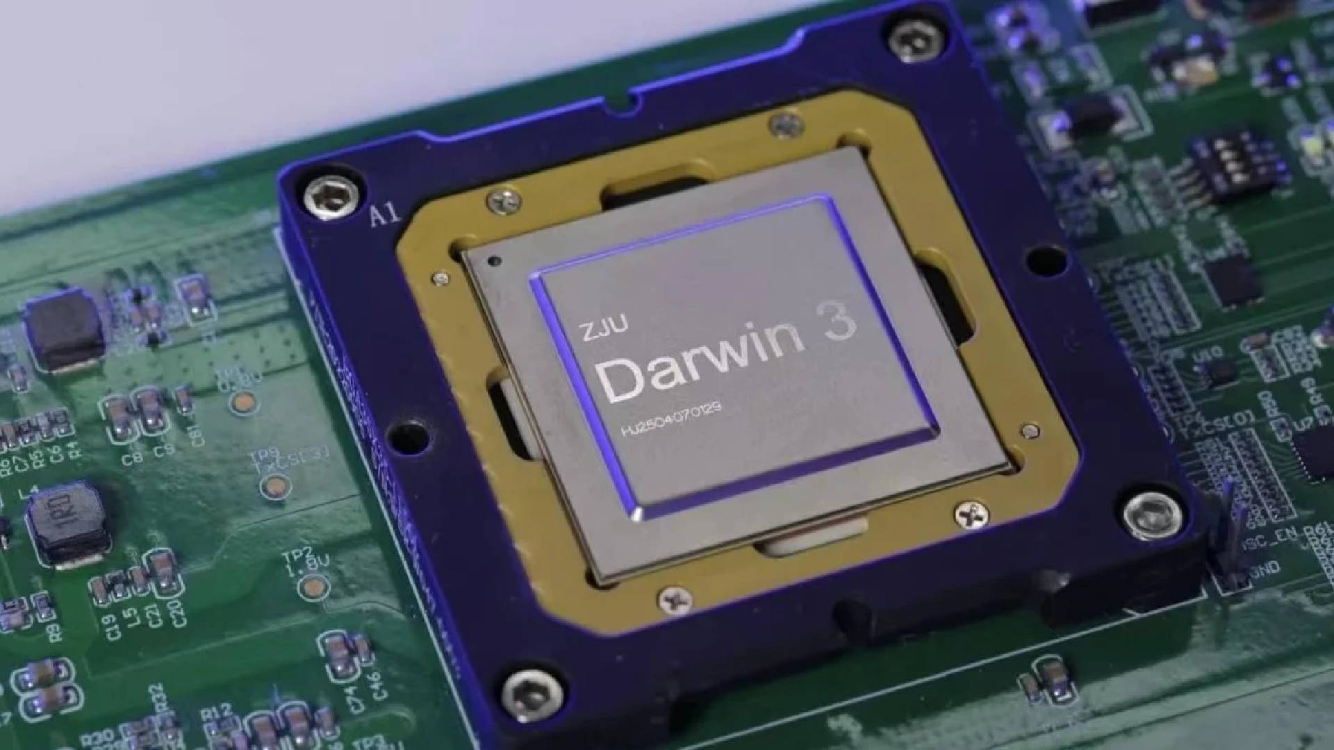 Darwin Monkey