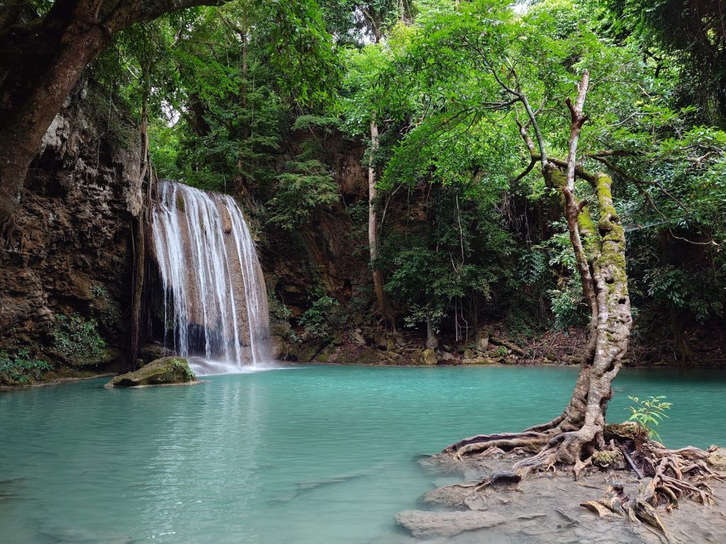 ภาพจากเลนส์หลักที่สวยงาม