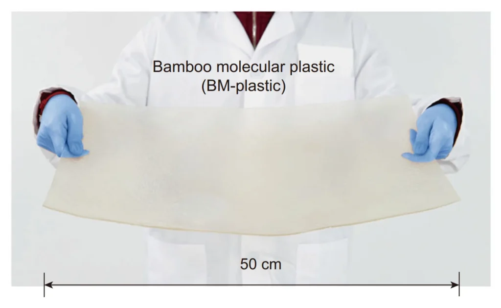 bamboo Plastic