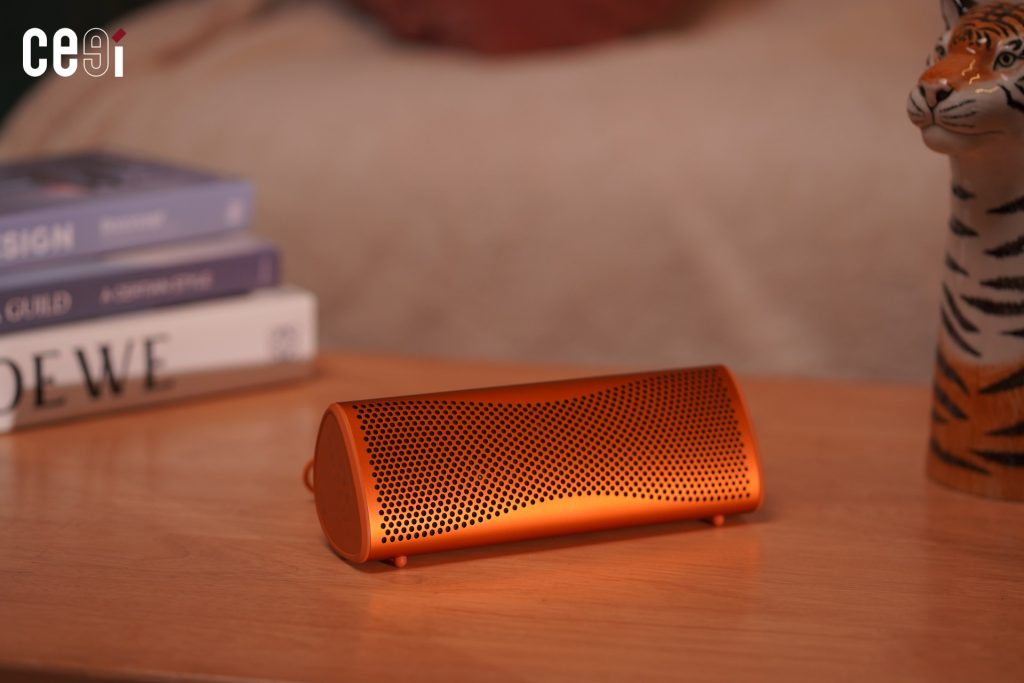 ขาตั้งเล็ก ๆ ด้านใต้ของลำโพง