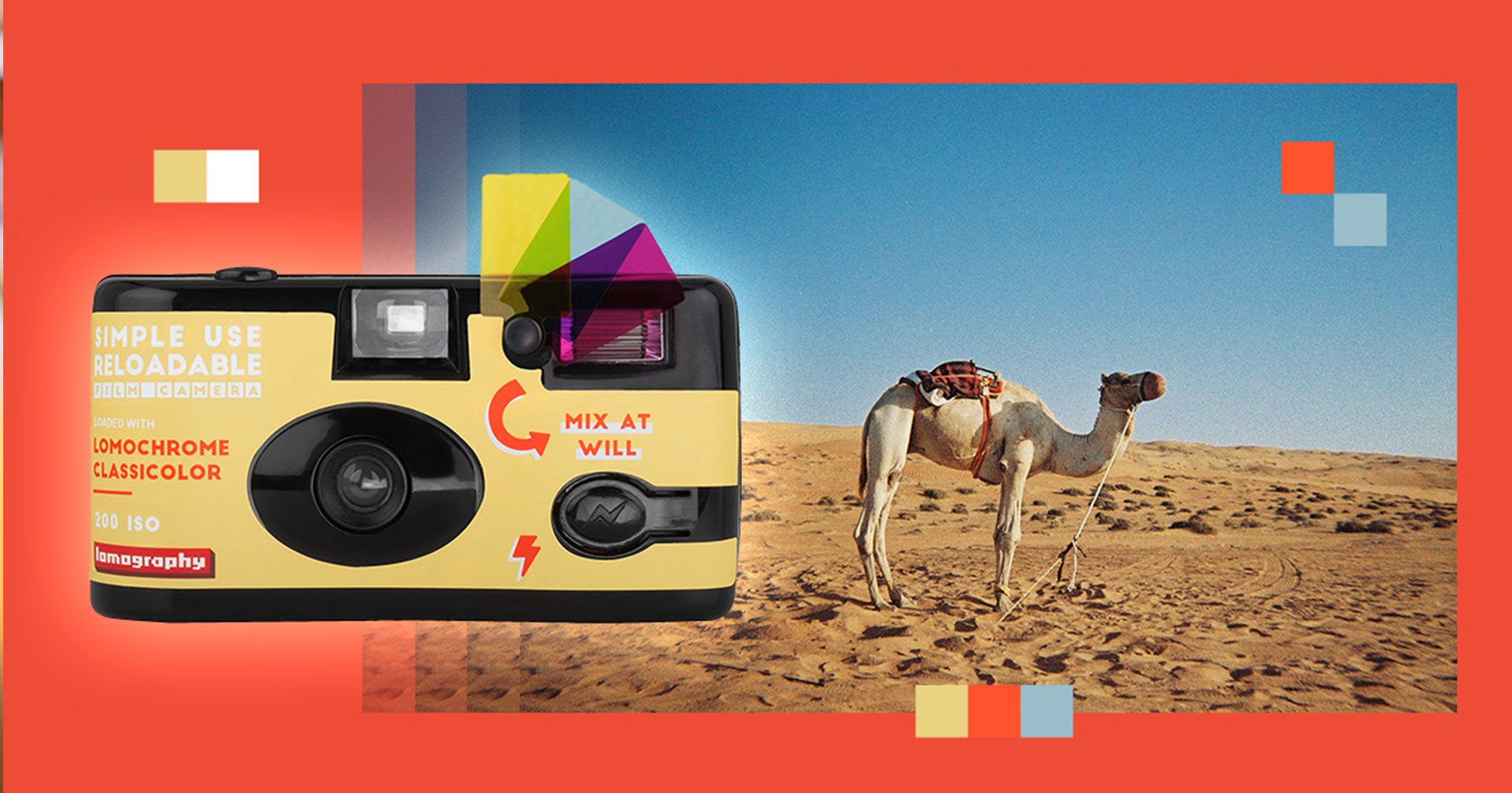 lomography