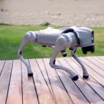 Robodog