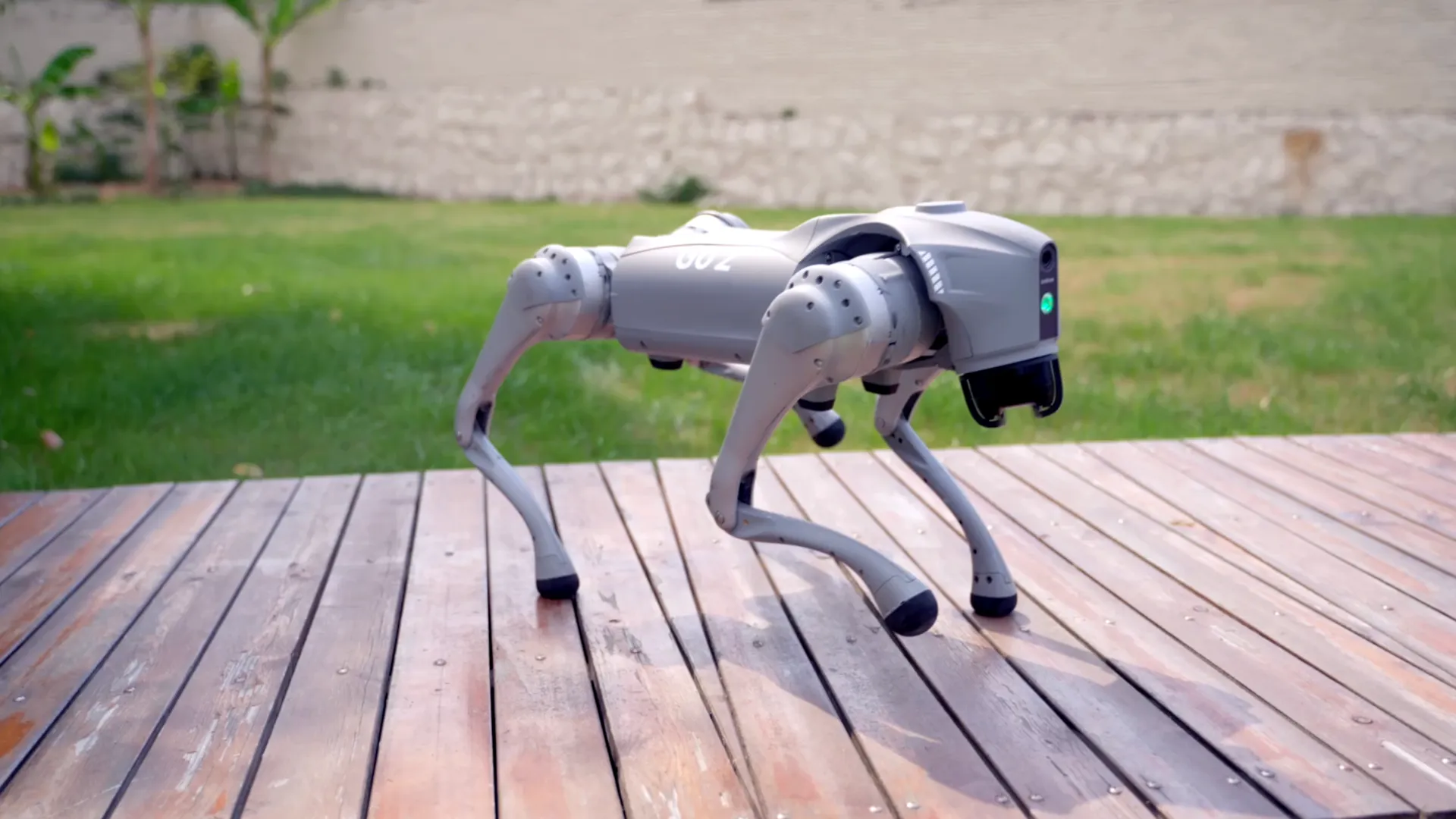 Robodog