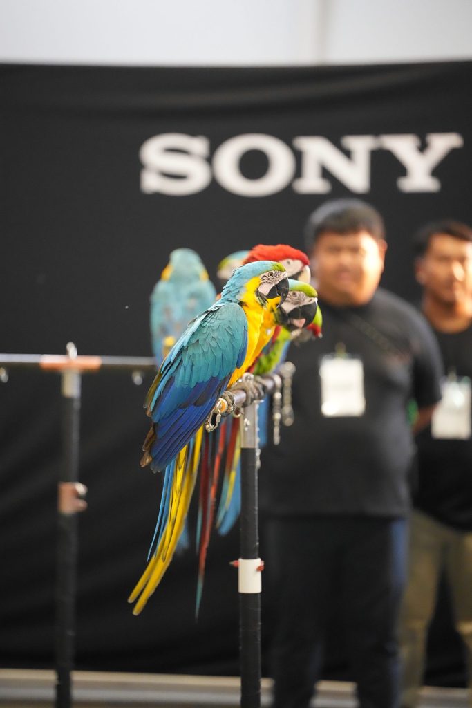 Sony