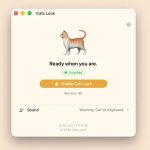 Cats Lock