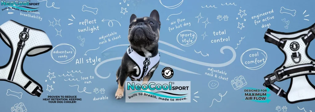 NeoCool สายรัดอกสุนัขสุดล้ำ ลดความร้อนสะสมดีกว่าเดิม 2.5 เท่า