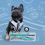 NeoCool