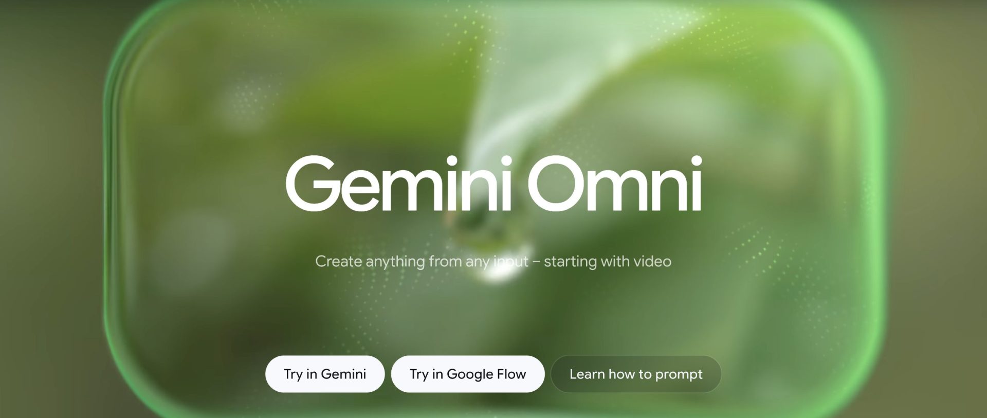 Gemini Omni