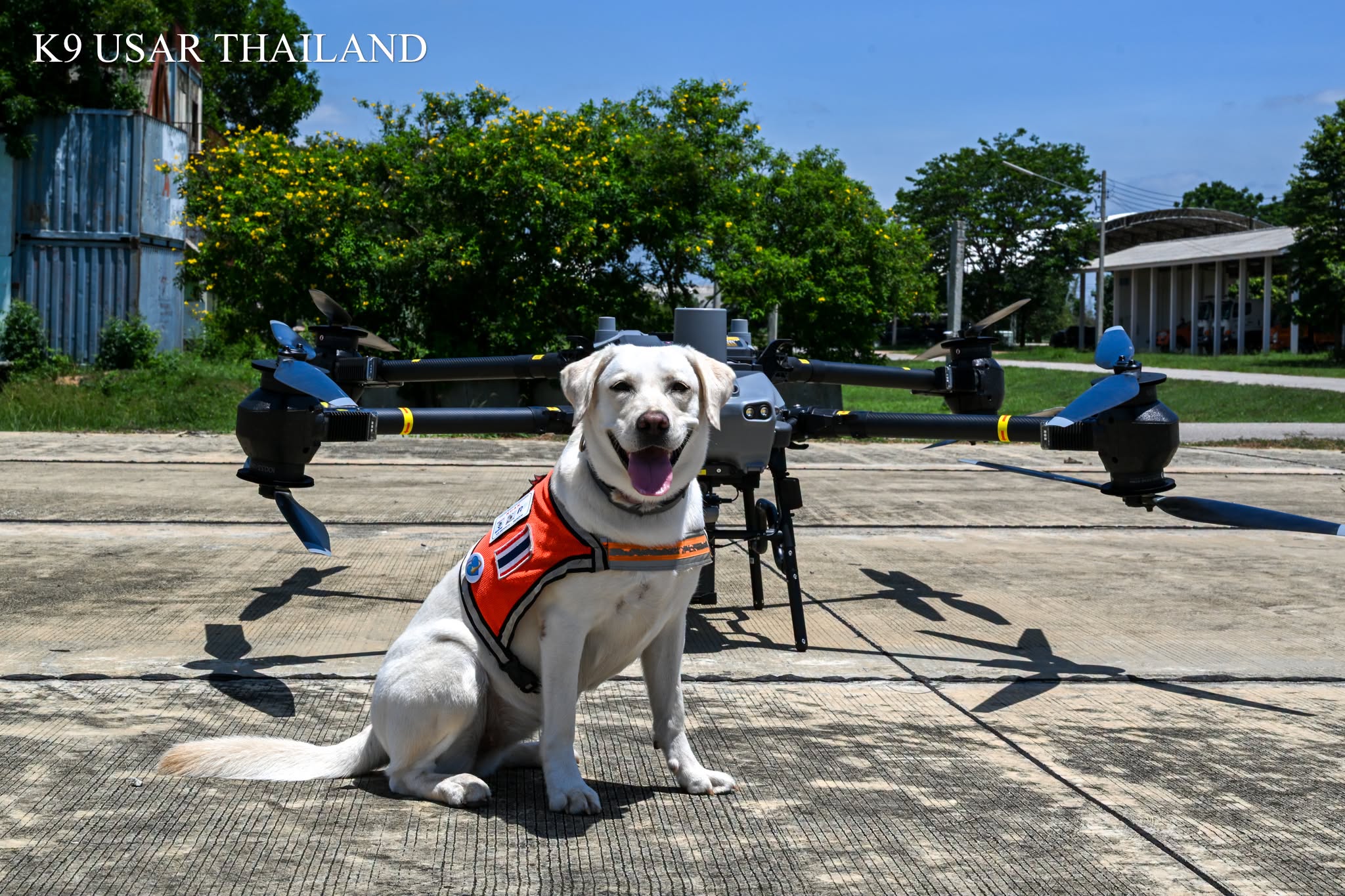 K9 USAR THAILAND