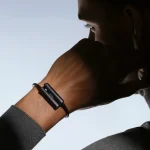 Fitbit-Luffu-Link